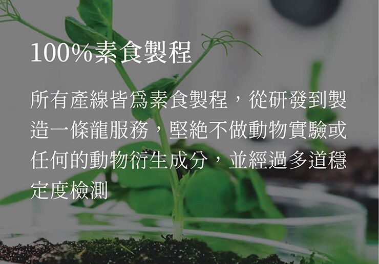 專業代工圖_100%素食製程.jpg